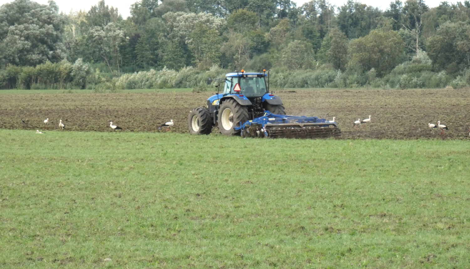 traktors uz lauka